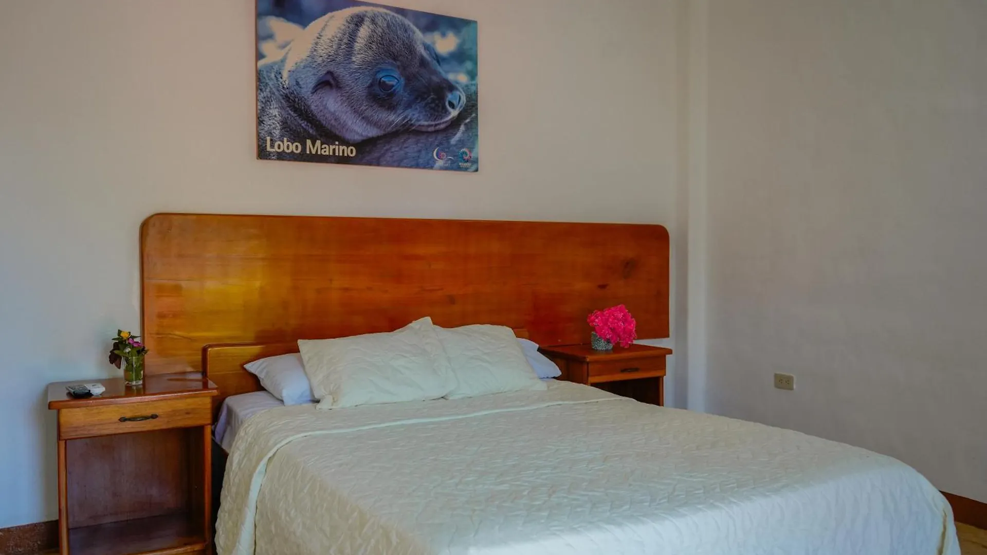 Hotel Gala House Puerto Ayora  Puerto Ayora (Galapagos Islands)