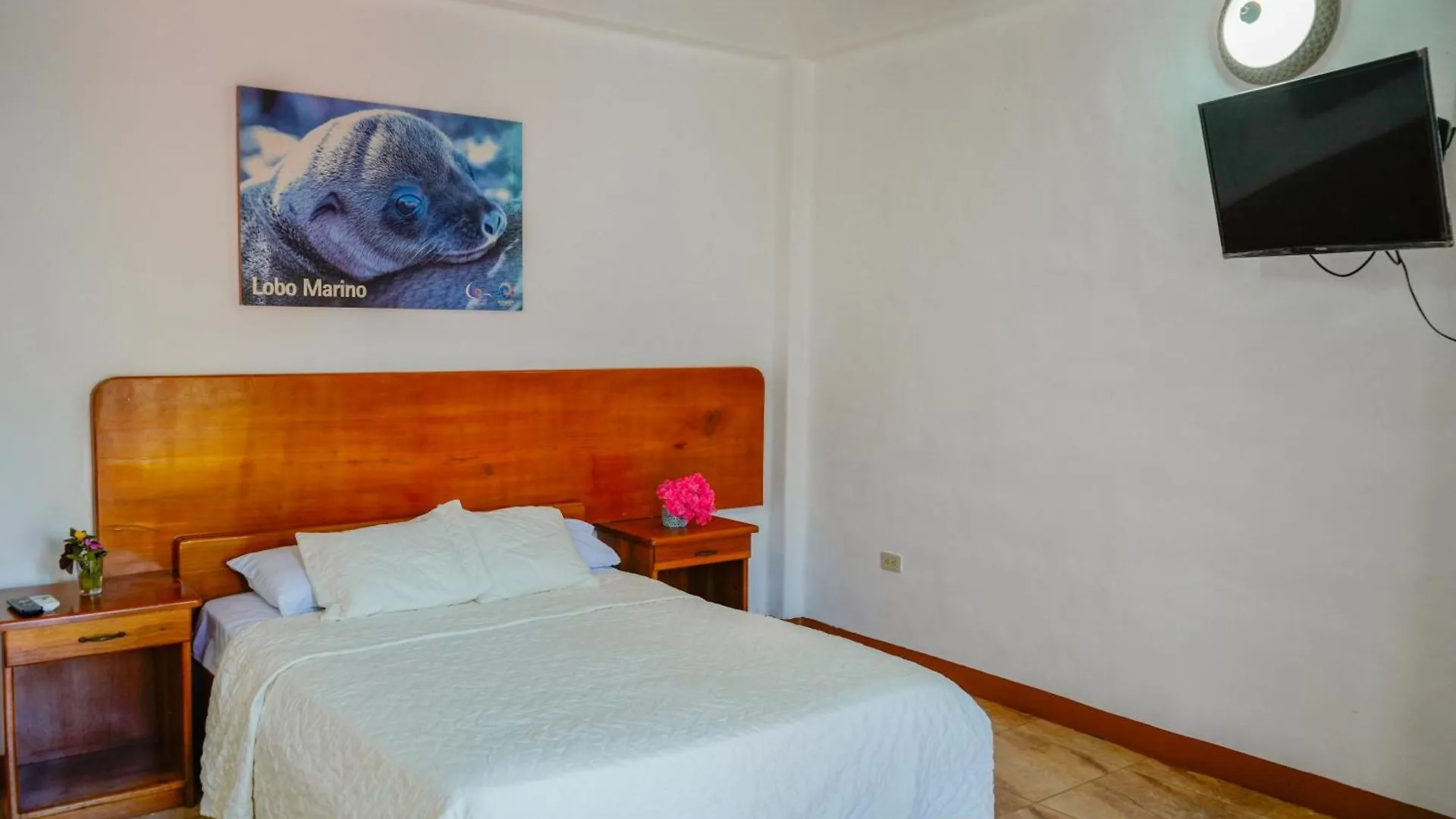 Hotel Gala House Puerto Ayora  Ekvádor