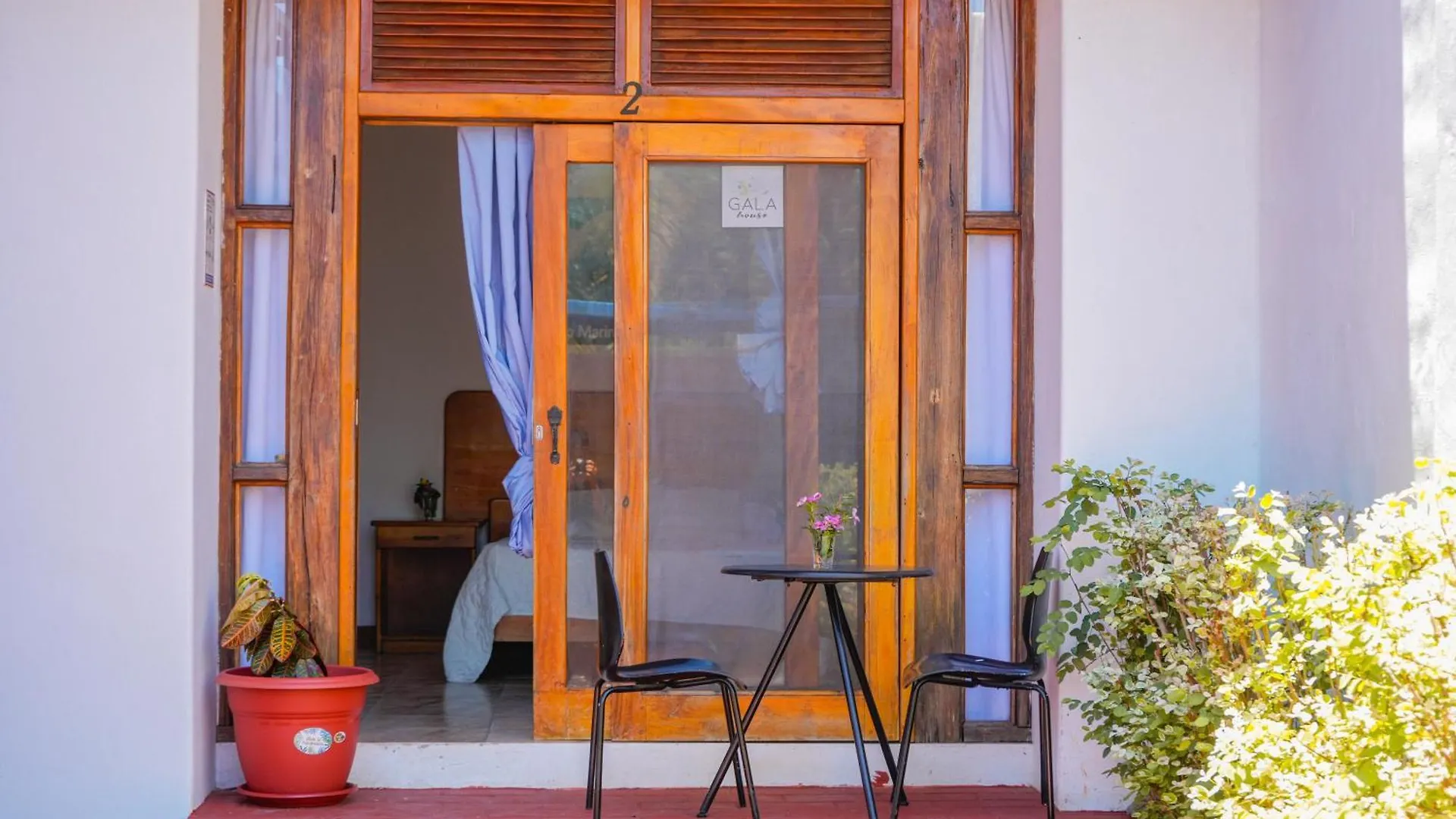 Hotel Gala House Puerto Ayora  Penzion Puerto Ayora (Galapagos Islands)